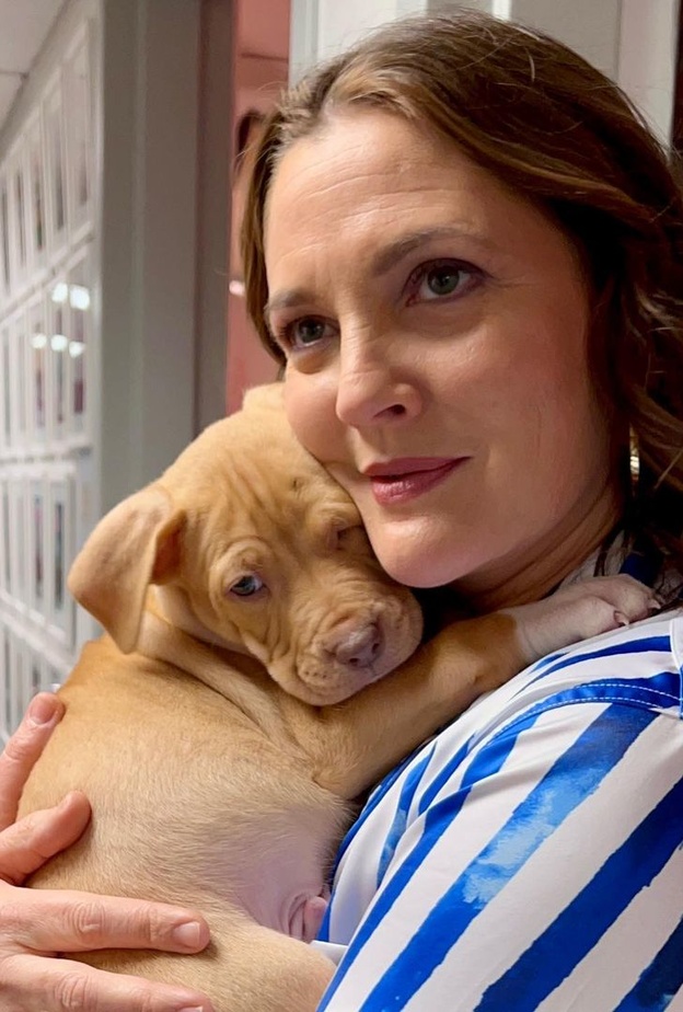 أصدقاء درو باريمور المقربين يرغبون في فشل برنامجها الحواري الجديد بسبب تأثيره السلبي على حياتها الاجتماعية