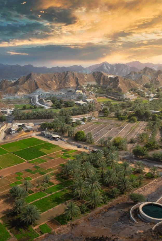 الطبيعة الساحرة في الفجيرة تأسر القلوب