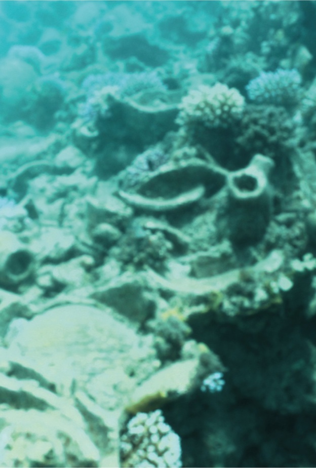 هيئة التراث تكتشف حطام سفينة غارقة في سواحل محافظة حقل