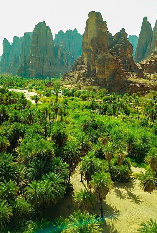 وادي الديسة.. سحر الطبيعة الخلابة والأجواء الساحرة في تبوك