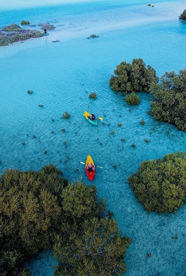 حديقة قرم الجبيل JUBAIL MANGROVE PARK