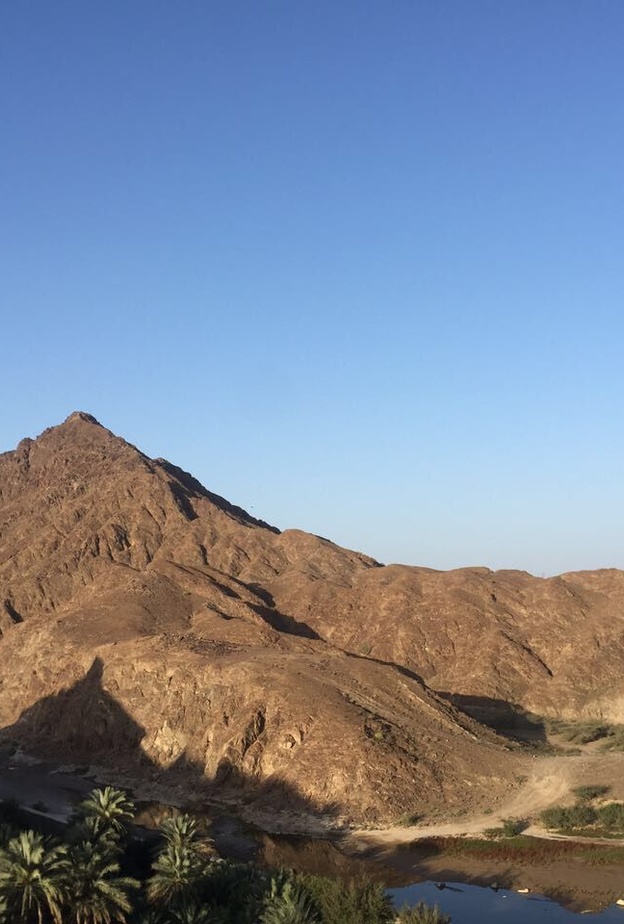 رأس الخيمة تطلق برنامجاً شاملاً للترحيب بزوارها برفقة حيواناتهم الأليفة