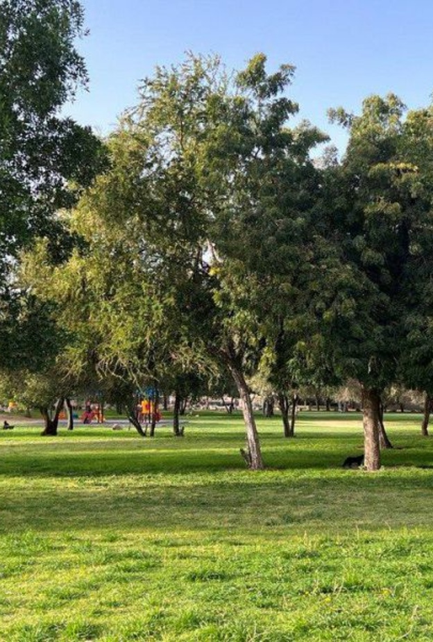 منتزه الملك فهد في نجران.. وجهتكِ المميزة للاستمتاع بالطبيعة الخلابة