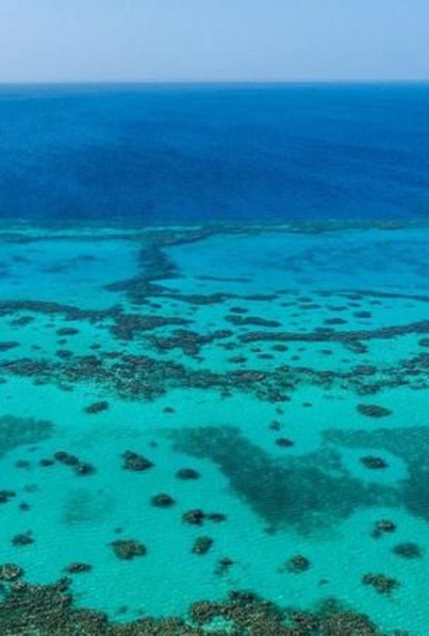 افضل الوجهات البحرية للاحتفال بعيد الحب في المملكة