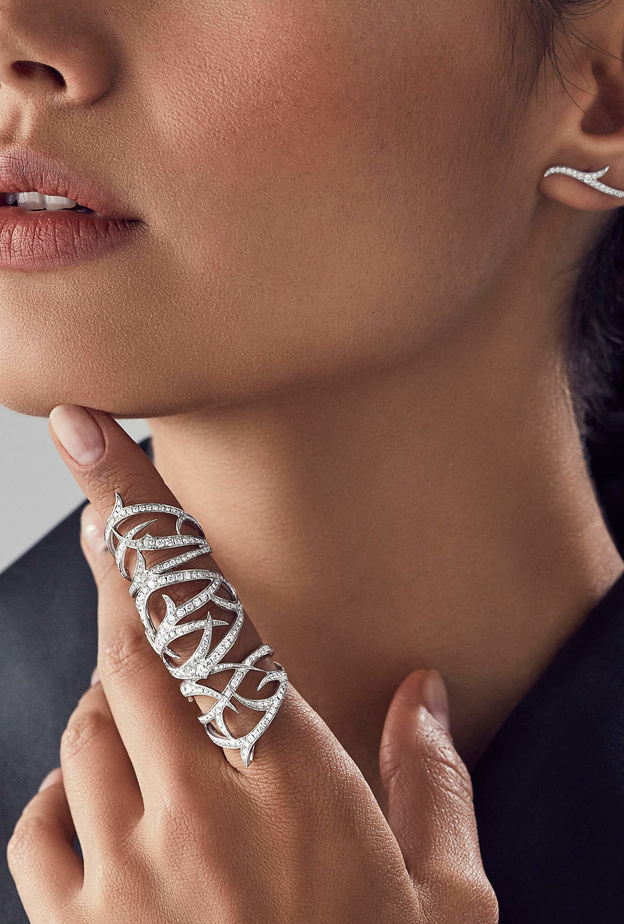 صورة رئيسية من Stephen  Webster