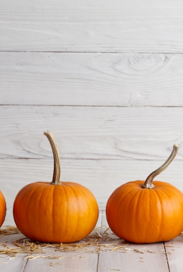 فوائد قرع العسل لتعزيز المناعة وانقاص الوزن