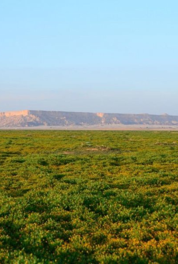 محمية الملك عبدالعزيز الملكية توقع عقود تأسيس منتجعين سياحيين في روضة الخفس وقلتة أم قليدة