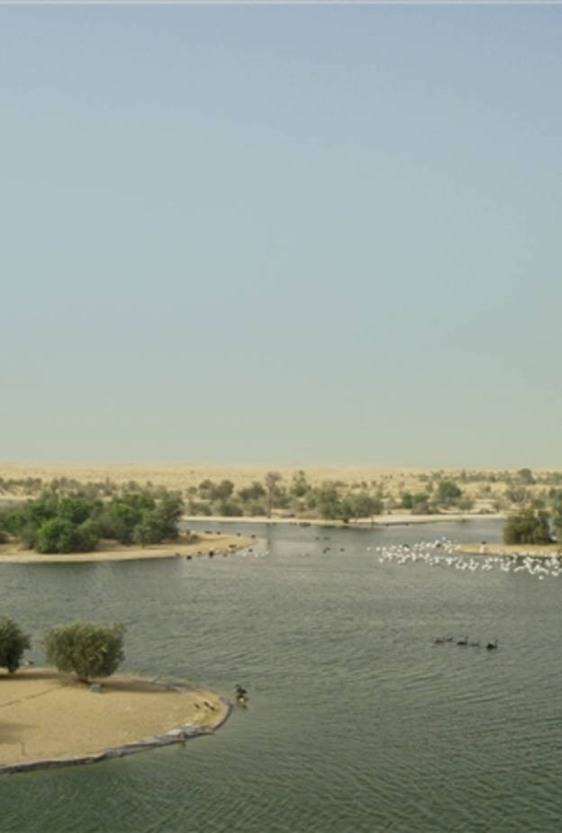 محمية دبي الصحراوية وأجواء ساحرة لعشاق الطبيعة - المصدر المكتب الاعلامي لحكومة دبي