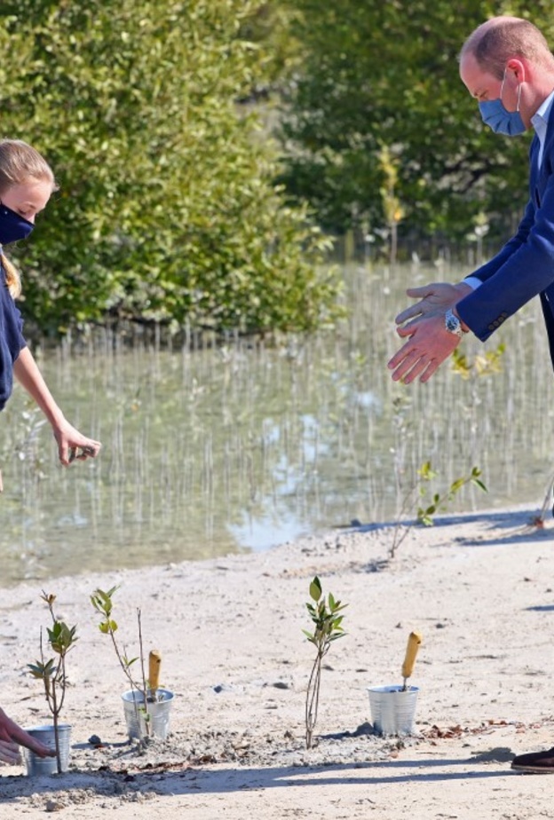 "البيئة" القضية الأكثر أهمية على قائمة الأمير ويليام خلال زيارته الأولى للإمارات 