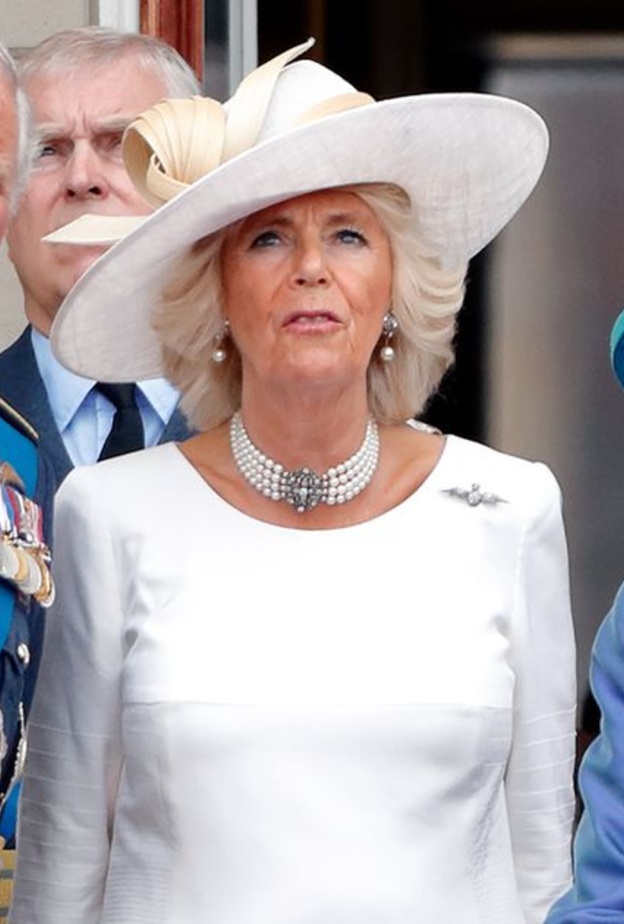 الأمير تشارلز يهنئ الملكة ويشكرها على إعلان منح زوجته لقب الملكة