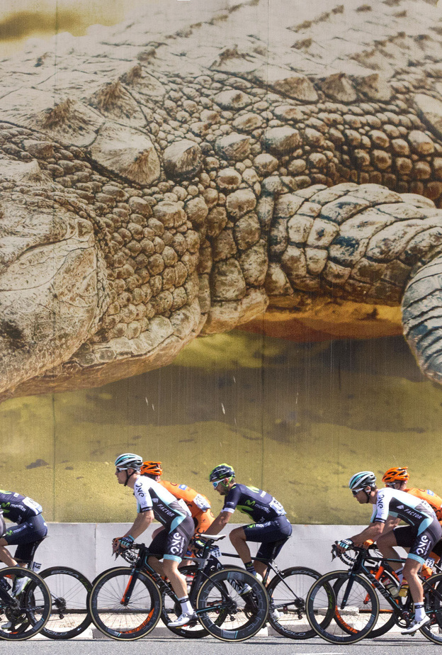 32 سباق تعزز مكانة دبي على خارطة الدراجات الهوائية العالمية