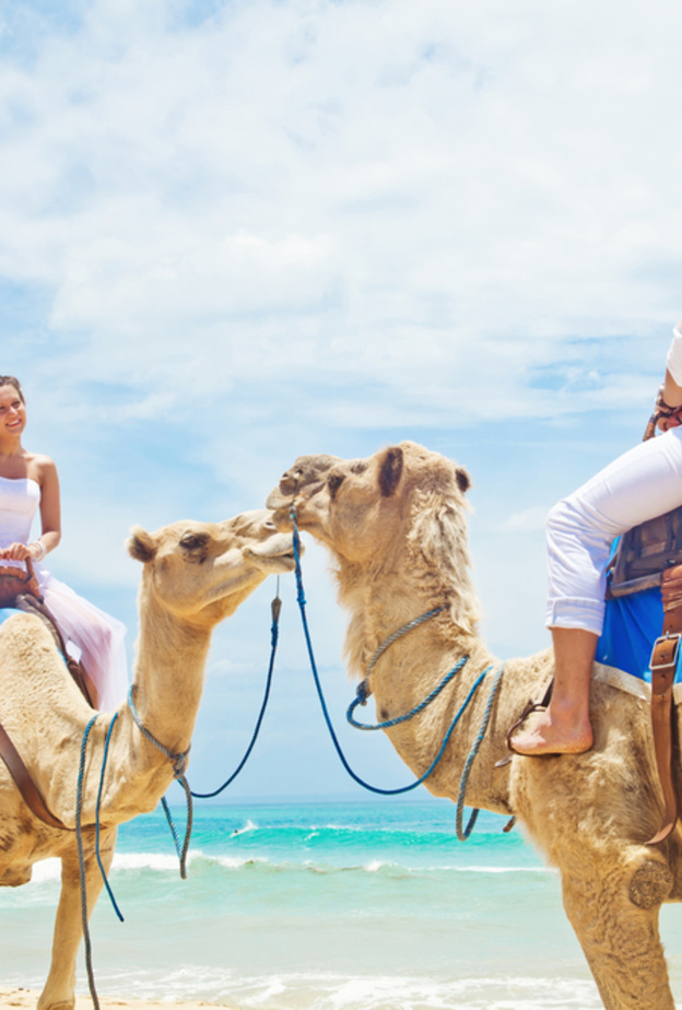 shutterstock_يمكن للعروسين اقامة حفل زفاف رومانسي في عيد الحب في الامارات