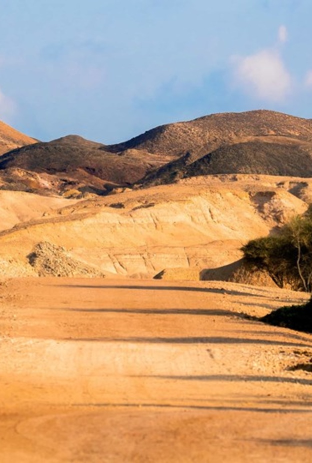 منتزه الحياة البرية العربية في أبوظبي.. وجهة عالمية لعشاق المغامرات في أحضان الطبيعة