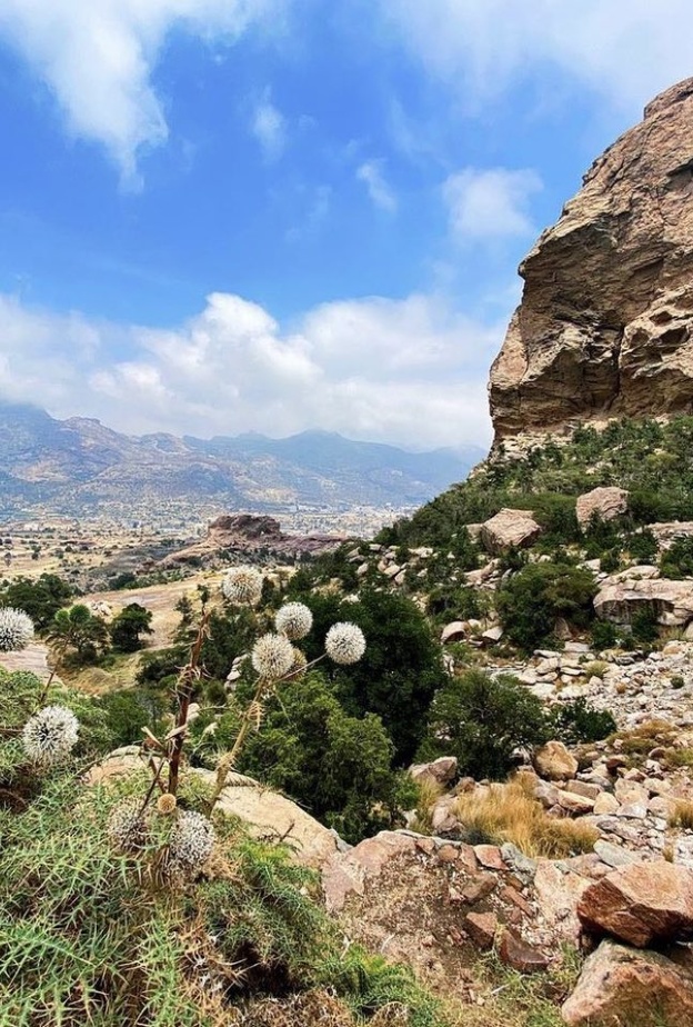 تنومة الساحرة بأجوائها الخلابة - المصدر @baqshihassan.