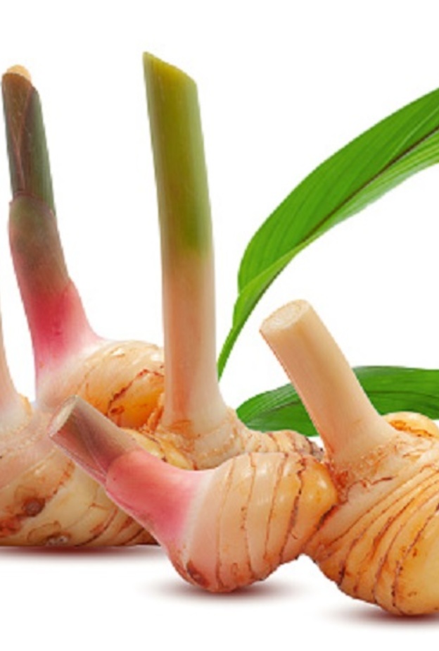 ماهي فوائد الخولنجان الصحية