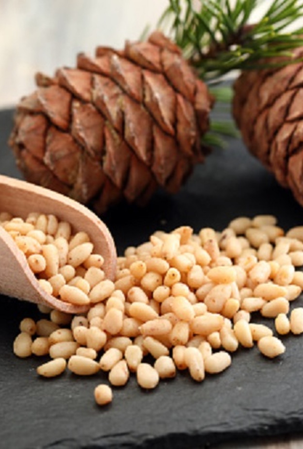 ماهي فوائد الصنوبر للنساء