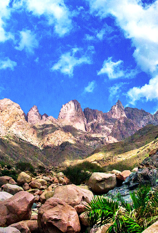 طبيعة تأسر القلوب في محيط جبل رضوى - المصدر روح السعودية