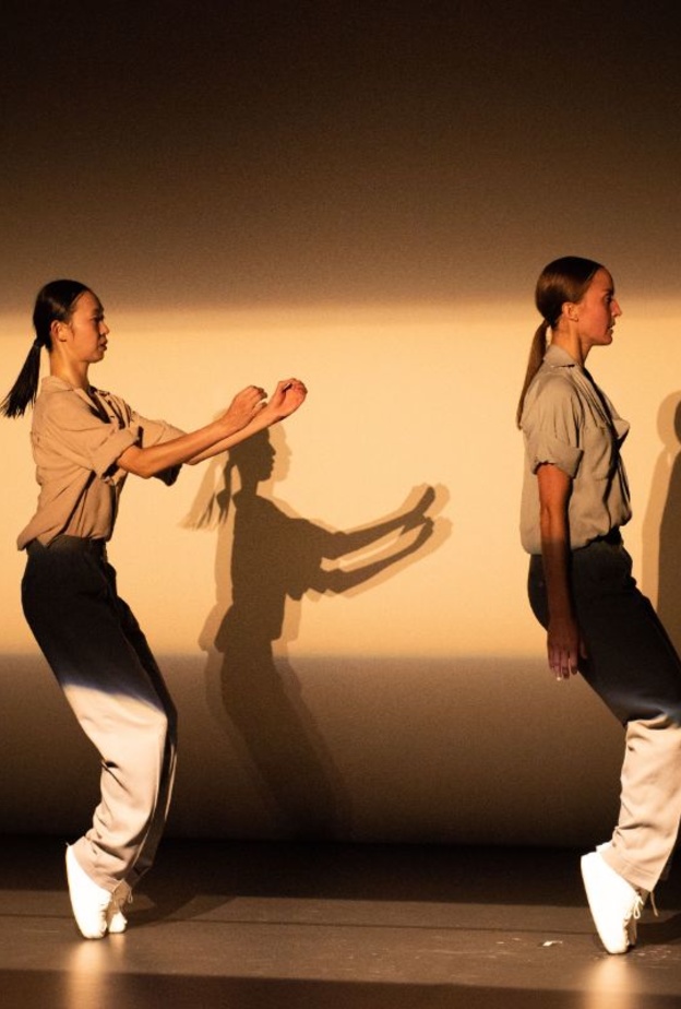 لوحة فنية راقصة