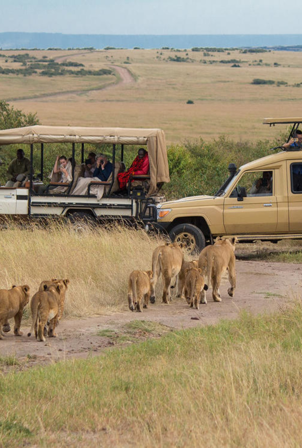 لرحلة لن تنسيها.. أفضل اماكن القيام برحلات السفاري حول العالم