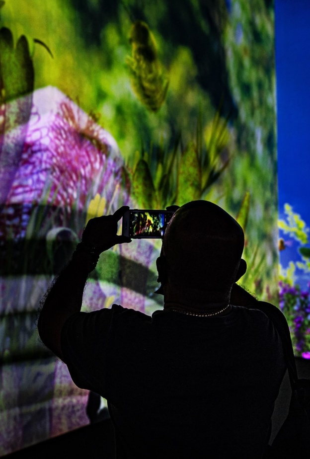 مناظر طبيعية خلابة في الجناح الأسترالي