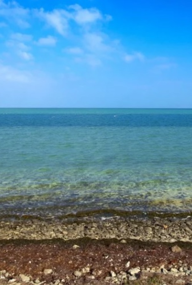 شاطئ المرفأ.. أجواء ساحرة وعروض ترفيهية لا تتوقف على مدار العام بأبوظبي 