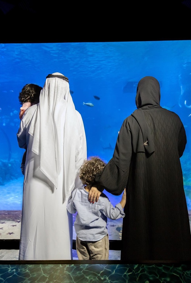 ناشونال أكواريوم أبوظبي.. متعة المغامرة مع أسماك القرش في الإمارات