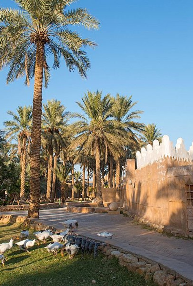 مزارع القصيم الساحرة.. تجربة ريفية لا تنسى في أحضان الطبيعة