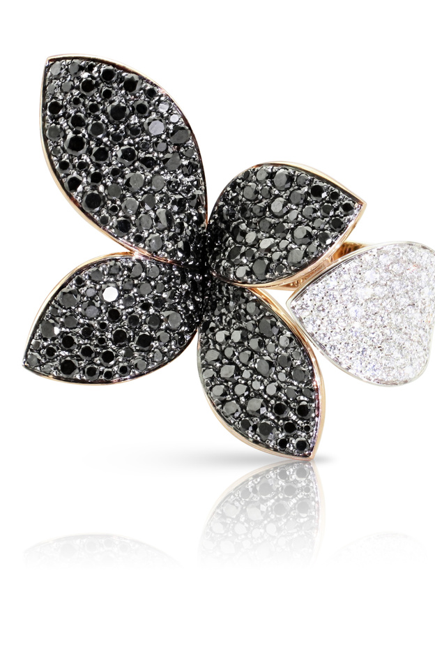 اكتشفي المجموعات الجديدة 2022 من باسكال بروني