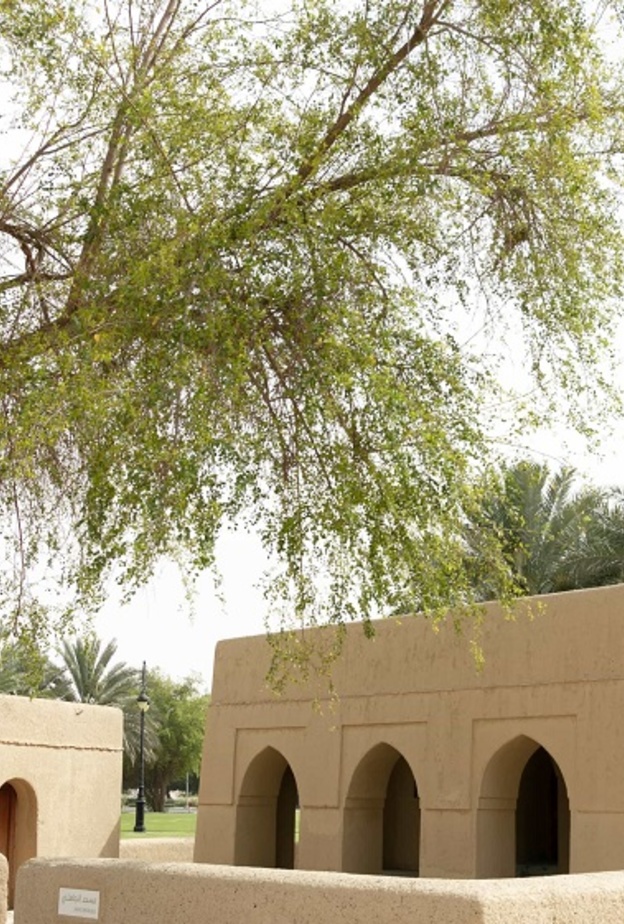 مسجد الجاهلي.. منارة إسلامية وتجربة تاريخية ساحرة في أبوظبي