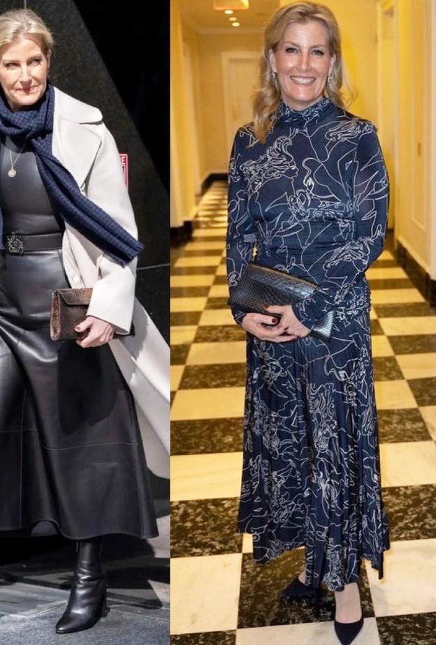 كونتيسة وسكس تتعرض لموقف محرج يتعلق بملابسها خلال زيارتها الرسمية إلى نيويورك