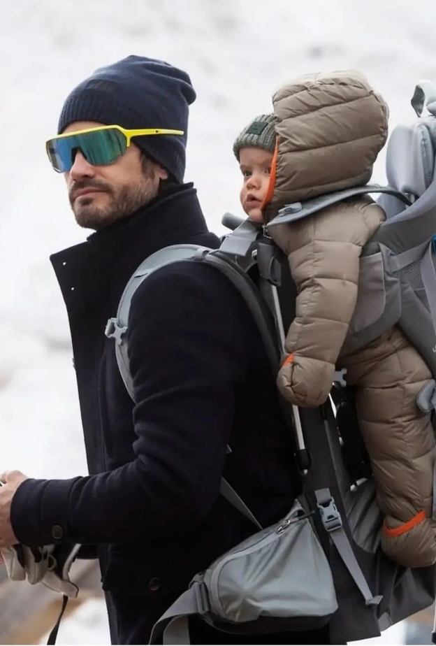 تغريم الأمير كارل فيليب لتجاوزه السرعة