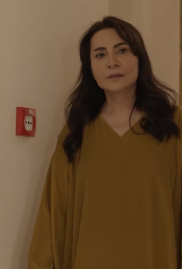 مسلسل "من شارع الهرم إلى"