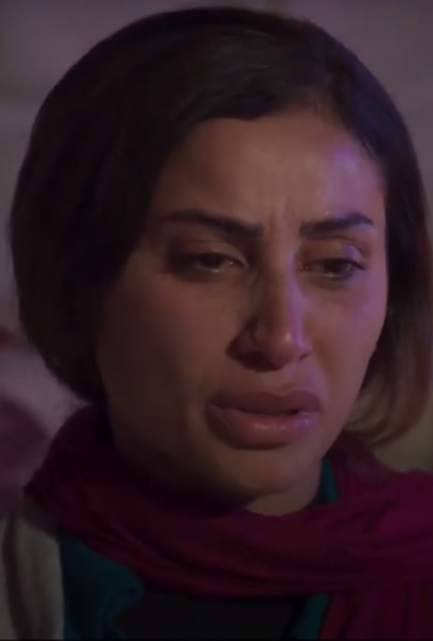 دينا الشربيني