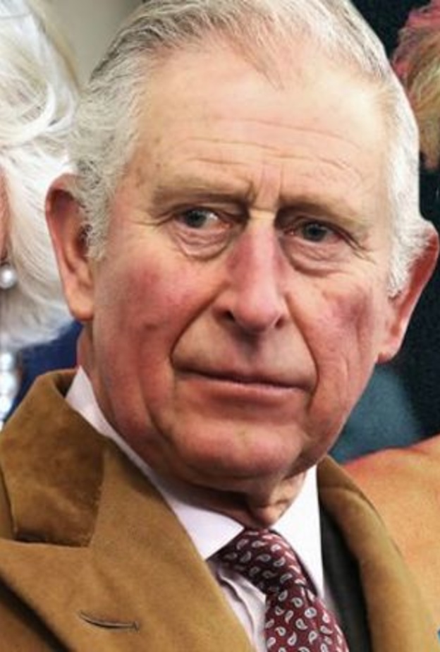 خبير ملكي ديانا كانت لتتجاوز خلافات الماضي مع تشارلز وكاميلا