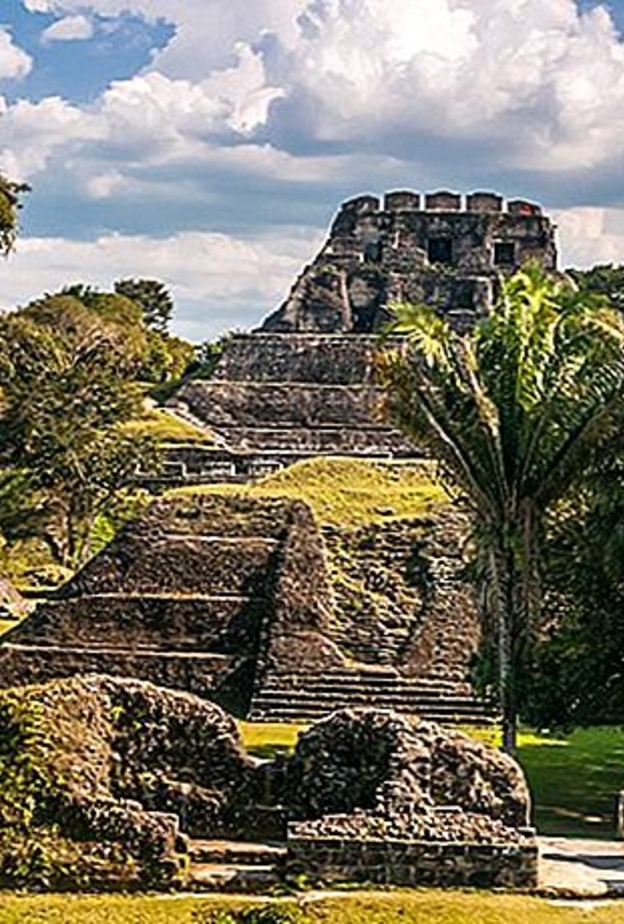 Tiffany & Co تقدّم 6.5 مليون دولار أمريكي لدعم منظمة الحفاظ على الطبيعة في خمس مناطق جغرافية