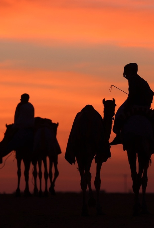 محمية المرزوم.. تجربة ساحرة في أحضان الطبيعة الصحراوية الخلابة بالإمارات 