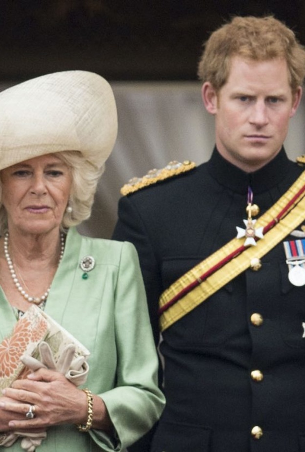 خبيرة ملكية الأمير هاري سيقوم بانتقاد زوجة والده التي يكرهها في كتابه الجديد