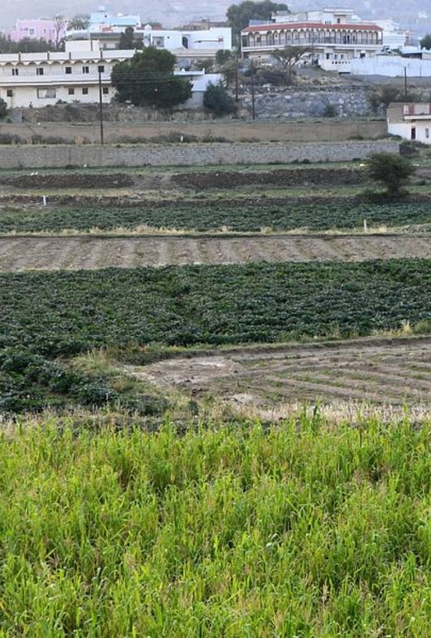 طبب.. وجهة طبيعية خلابة وأجواء تأسر القلوب في عسير 