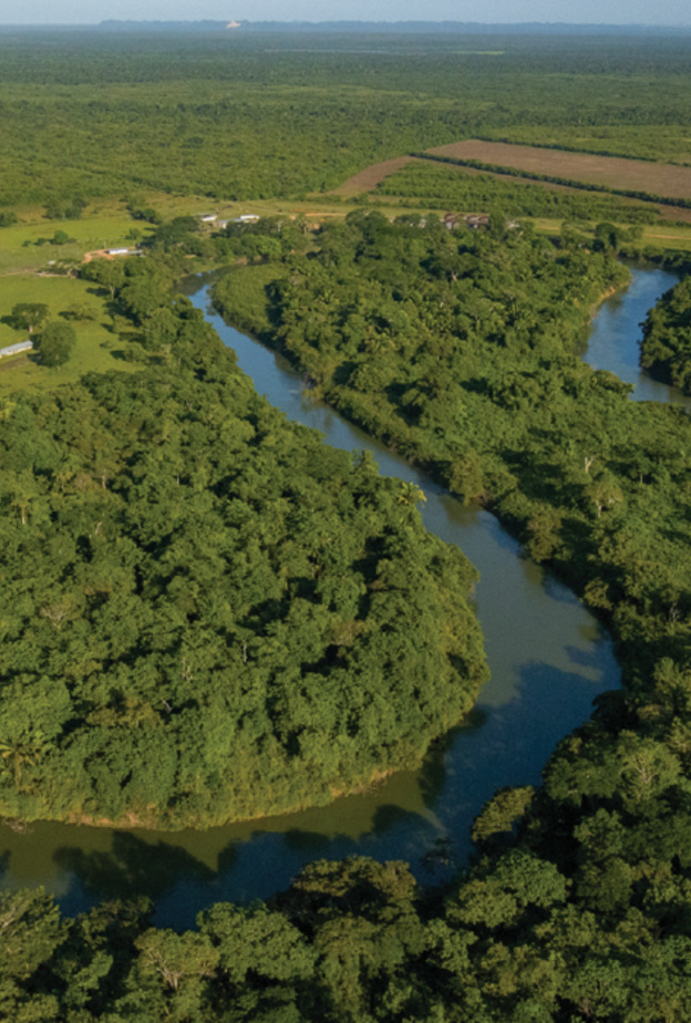 علامة Tiffany & Co تقدّم 6.5 مليون دولار أمريكي لدعم منظمة الحفاظ على الطبيعة في خمس مناطق جغرافية