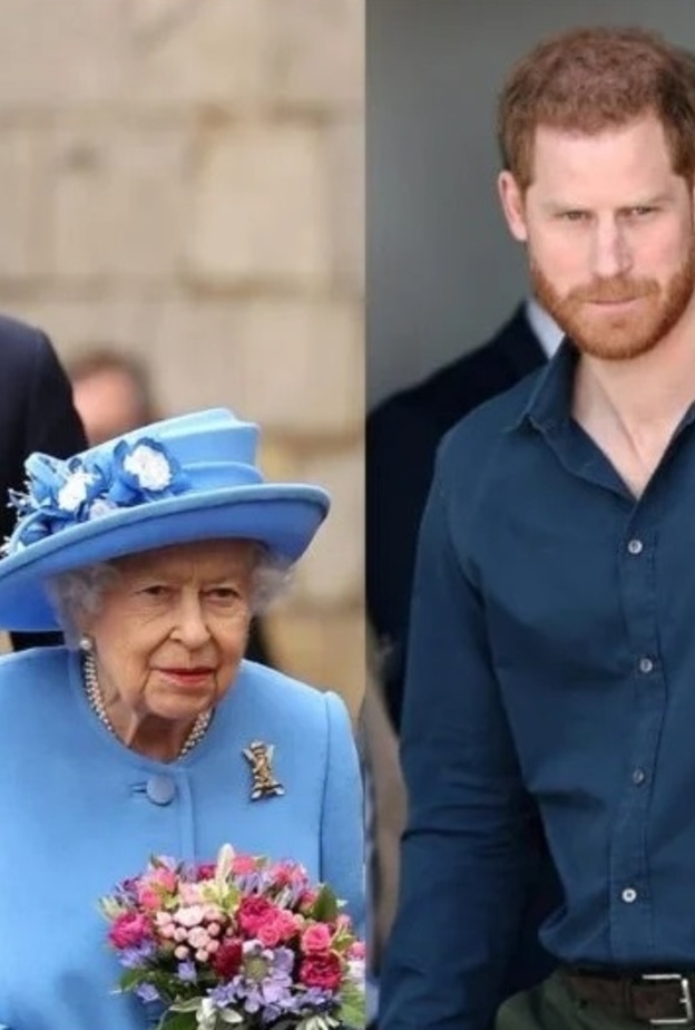 الأمير هاري تعمد أن يكون لقاؤه مع الملكة في غياب الأمير وليام