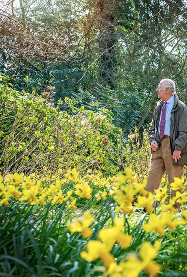 الأمير تشارلز يكشف عن حدائقه الجميلة في الربيع في منزله الريفي