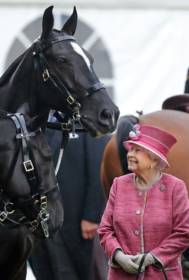 فتح أبواب مضمار تدريب الفروسية الخاص بالملكة بمناسبة احتفالات اليوبيل البلاتيني للملكة