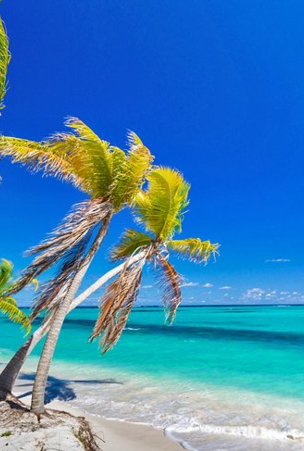 أنغيلا Anguilla