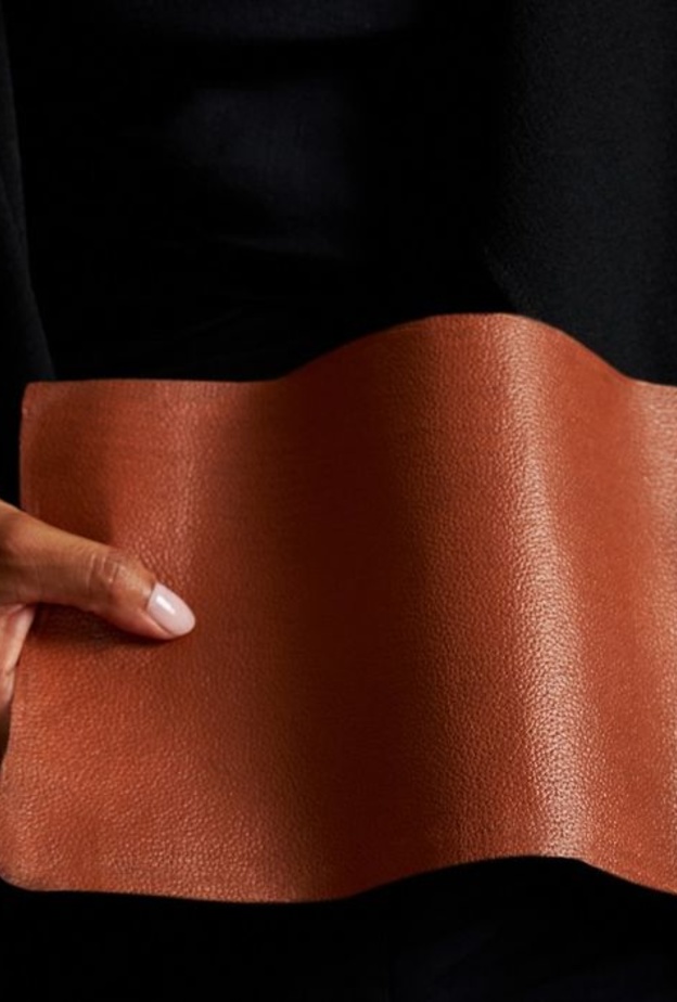 استثمرت مجموعة Kering الفرنسية العملاقة في شركة VitroLabs الناشئة التي تصنّع الجلود في المختبر