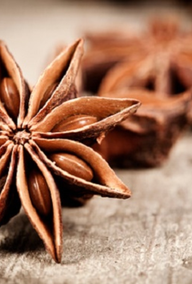 رئيسية ماهي فوائد اليانسون للنساء