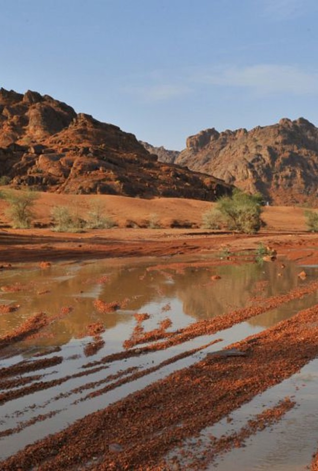 صحراء النفود