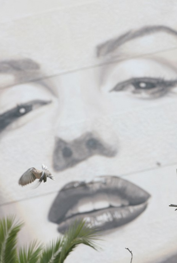 3 أسباب وراء عودة الراحلة مارلين مونرو إلى واجهة هوليوود مجددًا.. من بينها كيم كارداشيان