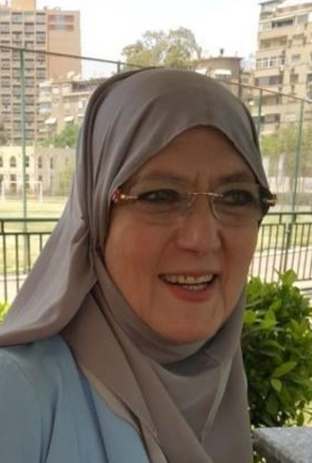 شمس البارودي