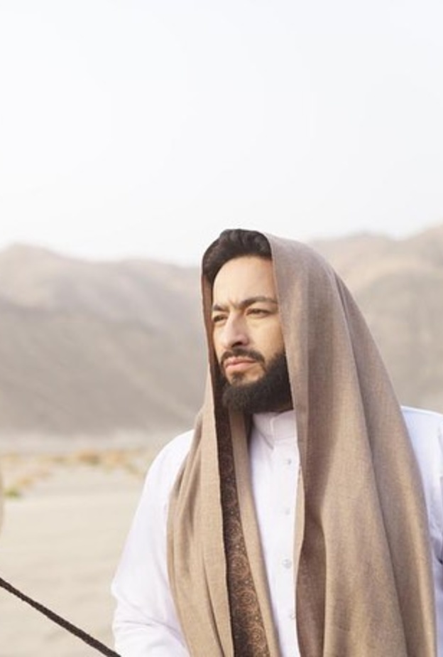 حماد هلال في المداح