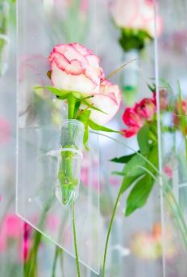 سلَّة مهرجان "طائف الورد" تدخل موسوعة "غينيس" كأكبر سلَّة ورد بالعالم